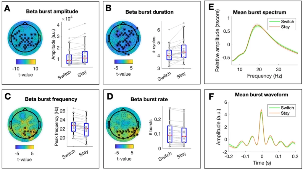 Changes in Beta Burst Parameters Associated W ith Memory Manipulation