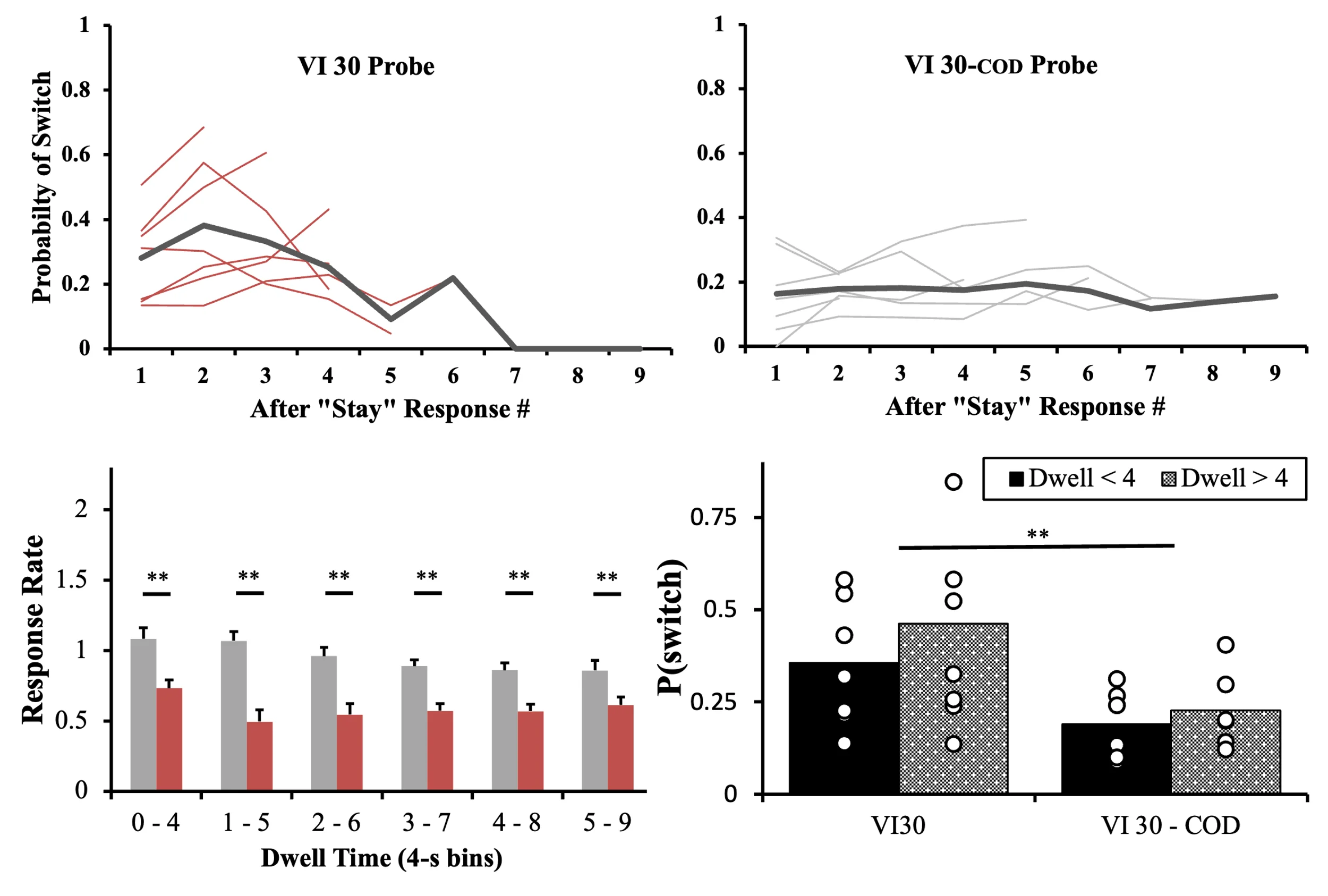 A four-panel figure showing pigeon switching behavior during VI 30 and VI 30-COD probes. Top line graphs plot Probability of Switch versus After "Stay" Response # (1–9), showing higher, peaked switching (~0.4) in VI 30 versus flatter, lower switching (~0.2) in VI 30-COD. Bottom-left bar chart shows Response Rate across Dwell Time bins with significant differences (**). Bottom-right bars compare P(switch) for Dwell<4 and Dwell>4, higher in VI30.